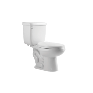 Two Piece Toilet
